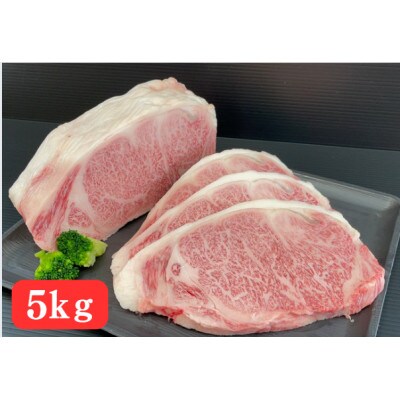 おおいた和牛サーロインブロック 5kg【配送不可地域：離島】