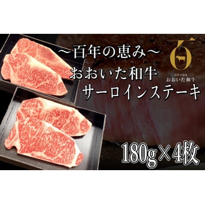 おおいた和牛 サーロインステーキ　計720g(180g×4枚)【配送不可地域：離島】