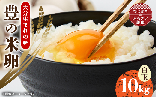 大分生まれのAW飼い有精卵「豊の米卵」10kg(白卵)【配送不可地域：離島】