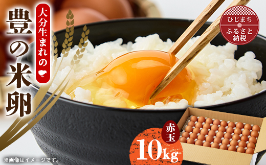 大分生まれのAW飼い有精卵「豊の米卵」10kg(赤卵)【配送不可地域：離島】