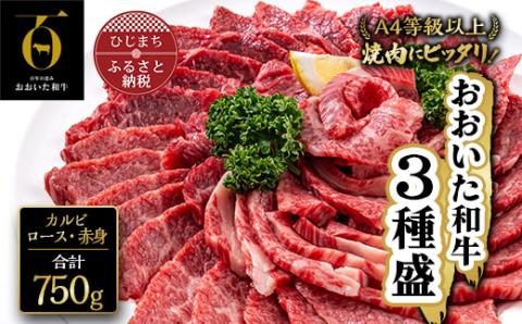 おおいた和牛 焼肉にピッタリ!牛肉の3種盛(カルビ・ロース・赤身)(合計750g)【配送不可地域：離島】