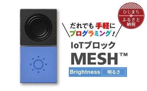 [ふるさと納税]IoTブロック “MESH" 明るさブロック[配送不可地域:離島]SONY ソニー プログラミング MESH