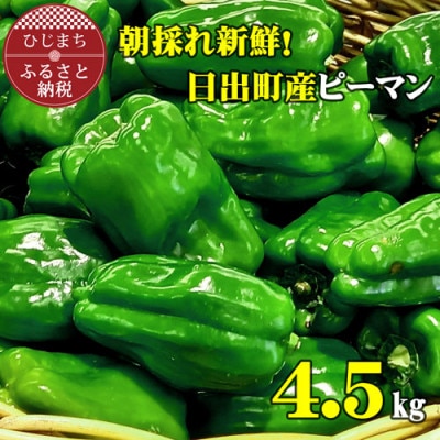 大分県日出町産 朝採れ新鮮ピーマン 4.5kg(80〜100個)