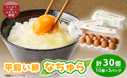平飼い卵なちゅら(30ヶ入り)【配送不可地域：離島】