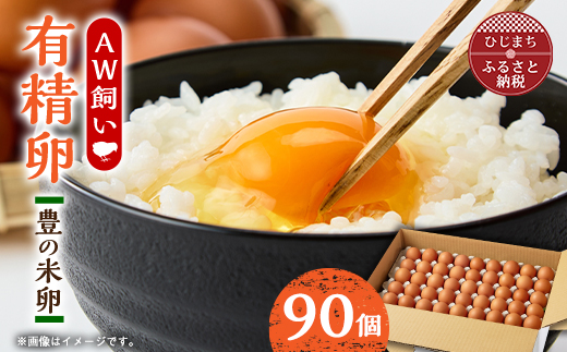 大分生まれのAW飼い有精卵「豊の米卵」90個入り【配送不可地域：離島】