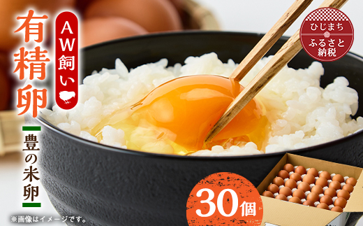 大分生まれのAW飼い有精卵「豊の米卵」30個入り【配送不可地域：離島】
