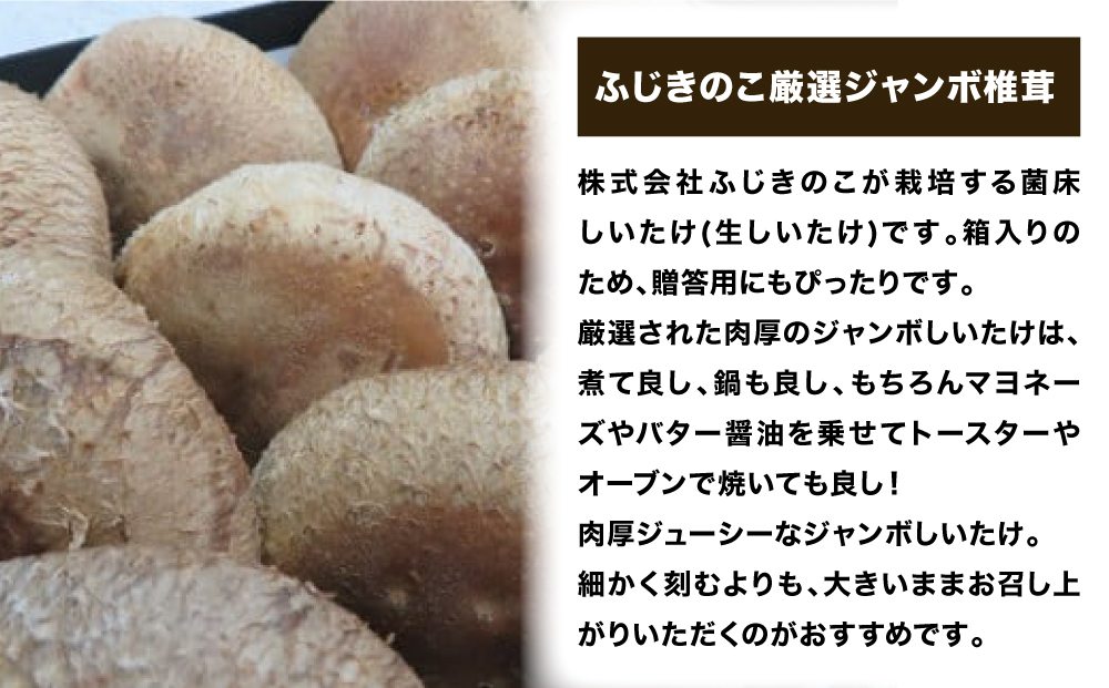 ふじきのこ厳選ジャンボ椎茸( 生しいたけ ) ふじきのこ 厳