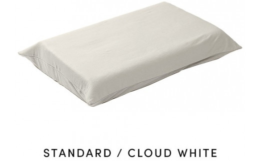 ブレインスリープ ピロー 【旧モデル】  STANDARD ＋ カバー ( 