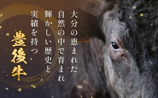 おおいた豊後牛 黒毛和種 サーロインステーキ 220g×4枚 おお