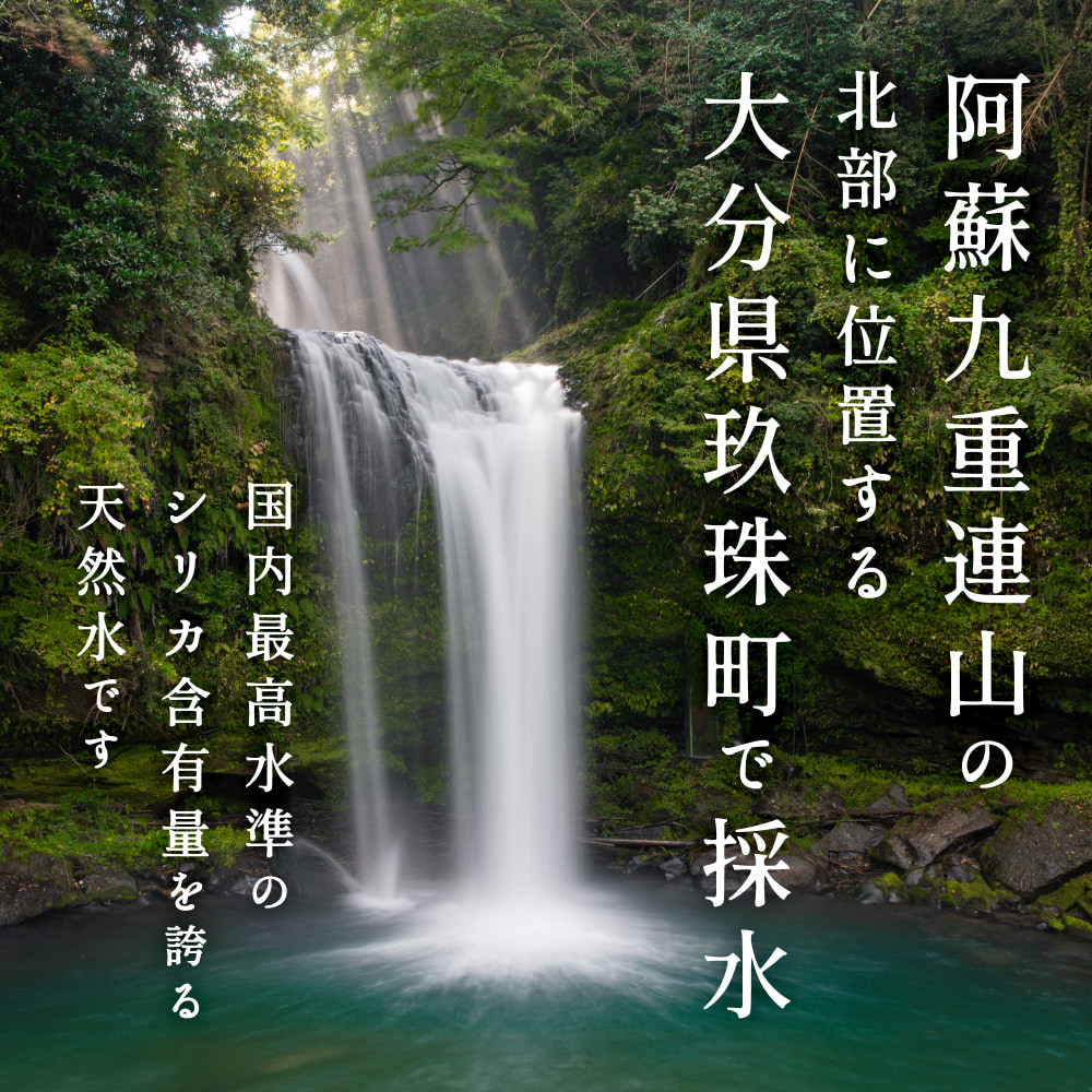 【最短当日発送】【数量限定】天然水 シリカ 525ml × 40本 × 