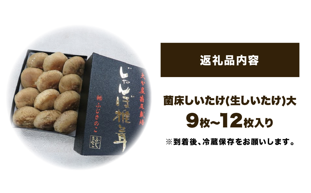 ふじきのこ厳選ジャンボ椎茸( 生しいたけ ) ふじきのこ 厳