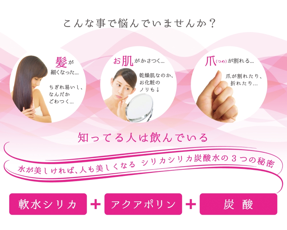 強炭酸水 九州 天然水 シリカ 500ml 24本 飲料水 炭酸水 美容 