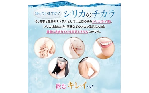 biora天然シリカ水 500ml×48本(2ケース) 天然シリカ水 シリカ 