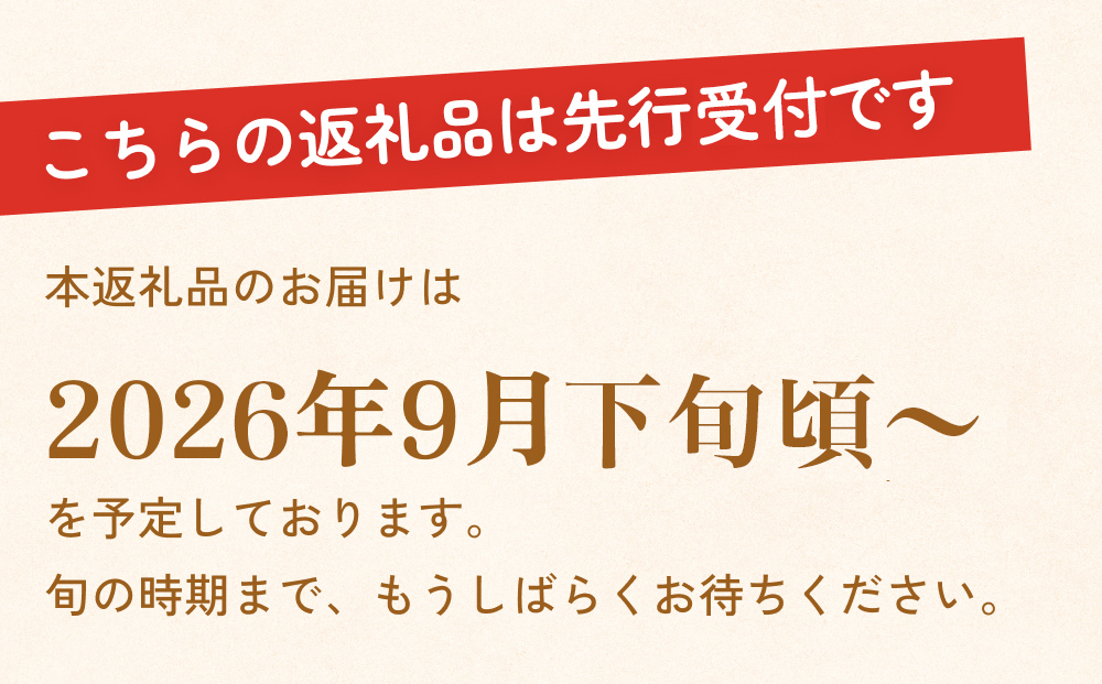 【先行受付】令和8年産 【新高】なかしま農園の 梨 5kg にい