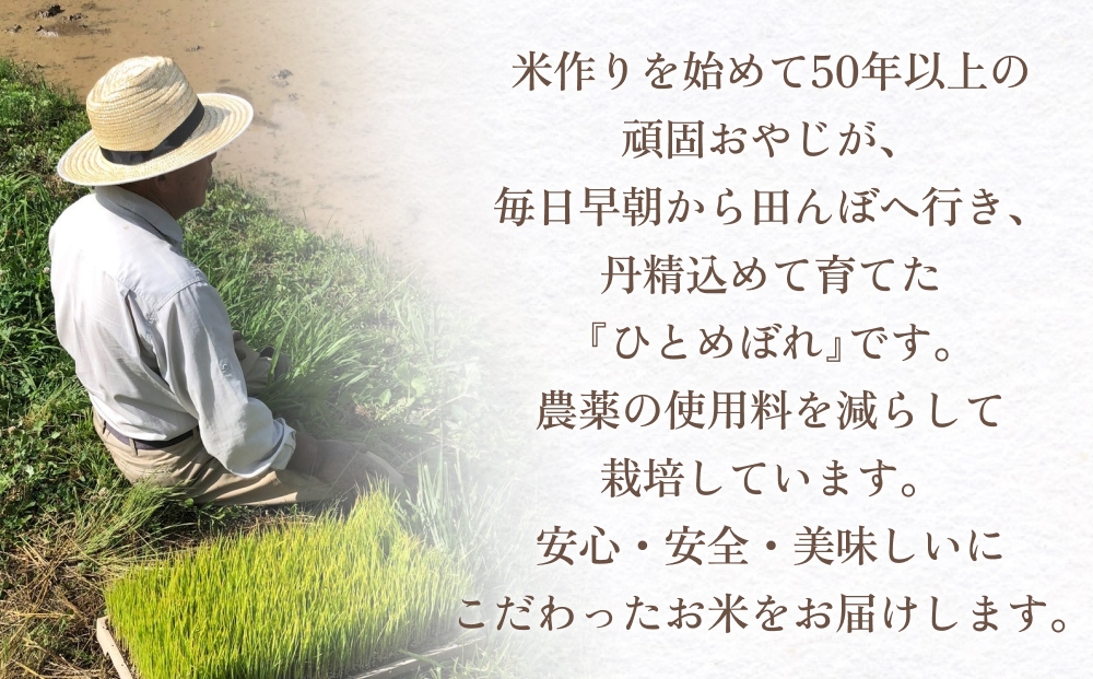 【令和7年 新米 大分県玖珠産・お米・ひとめぼれ 精米 5kg】