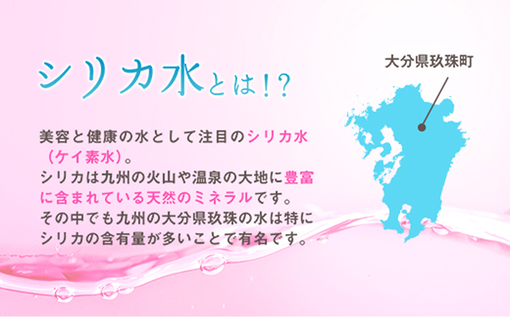 シリカウォーター Regina（レジーナ）40本