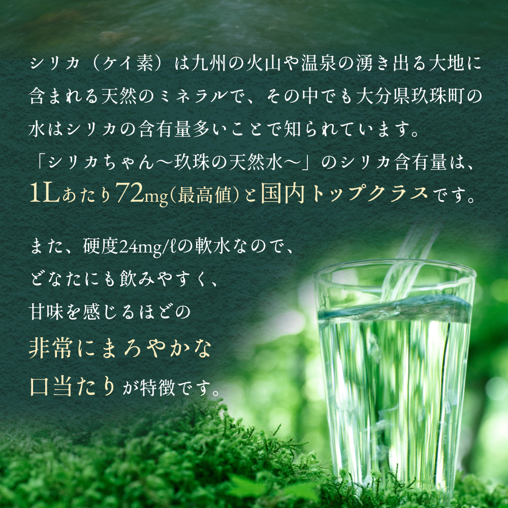 【数量限定】【12ヶ月定期便】天然水 シリカ 525ml × 40本 ＜