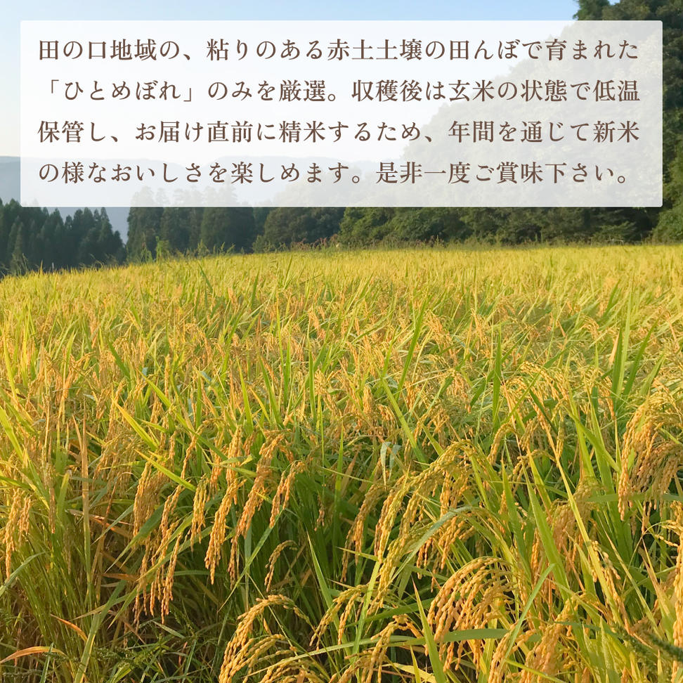 令和7年度  玖珠の献穀米 5kg 米 ひとめぼれ 大分県 玖珠町 