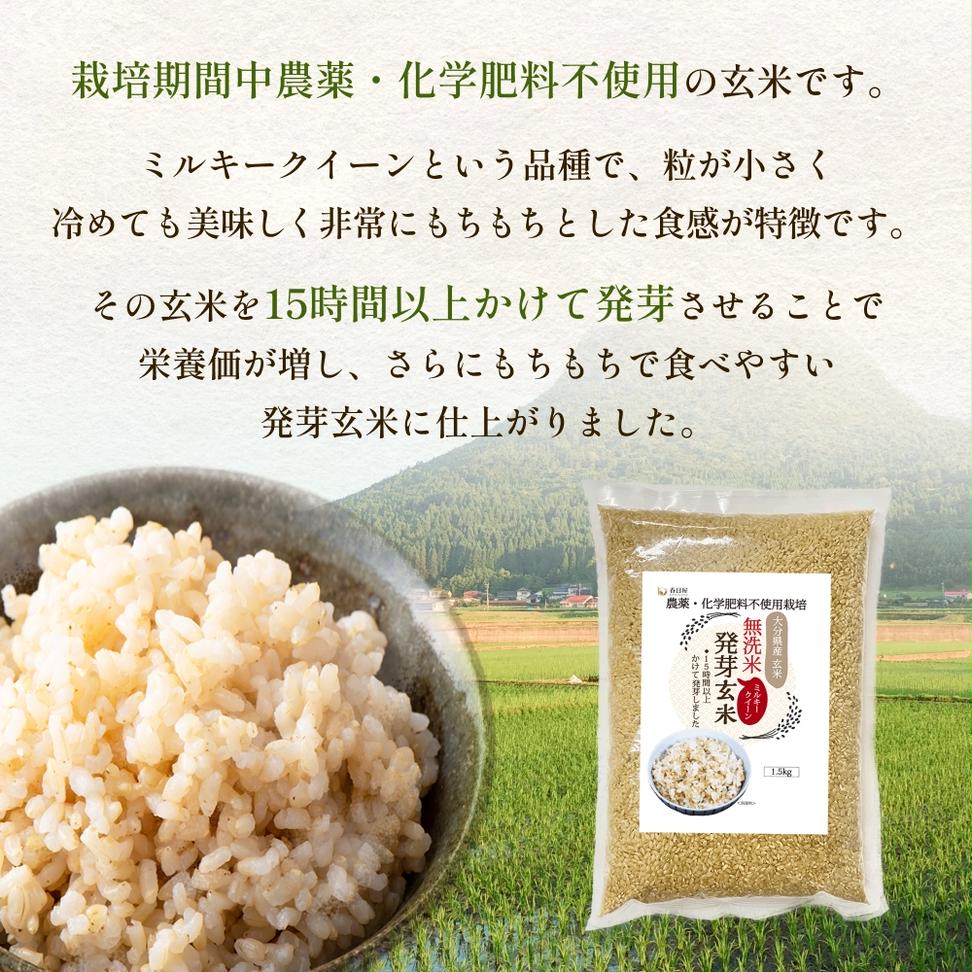 栽培期間中農薬・化学肥料不使用 発芽玄米 1.5kg×2袋(3.0kg) 