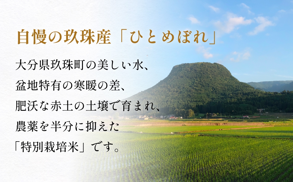【お中元対象】大分県産 玖珠米 ひとめぼれ 真空パック3個 