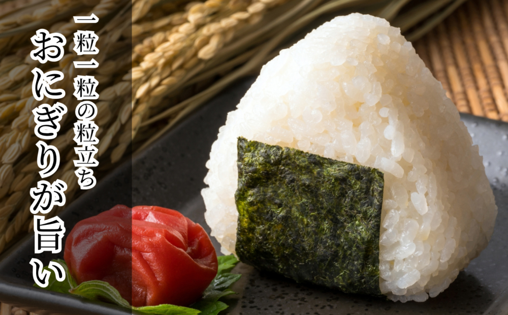 【 伊勢屋オリジナル 】【 令和7年産 】【 精白米 ４kg入 】