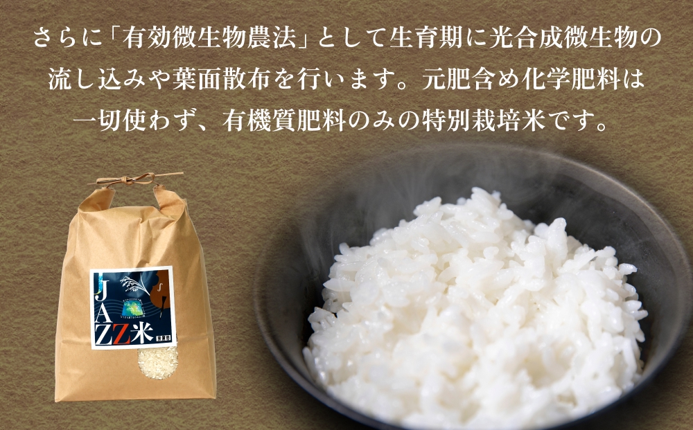 【令和8年産米先行受付】原農園 JAZZ米 白米 10kg ひのひかり 