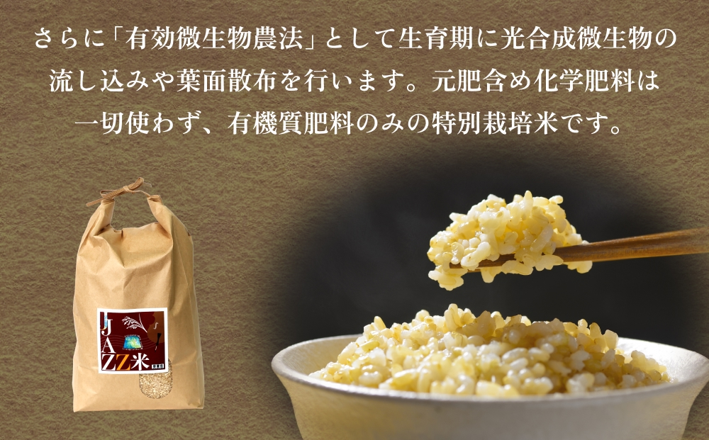 【令和8年産米先行受付】原農園 JAZZ米 玄米 10kg ひのひかり 