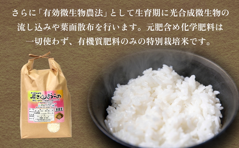 【令和8年産米先行受付】原さんちのお米 白米 ４kg ひのひ