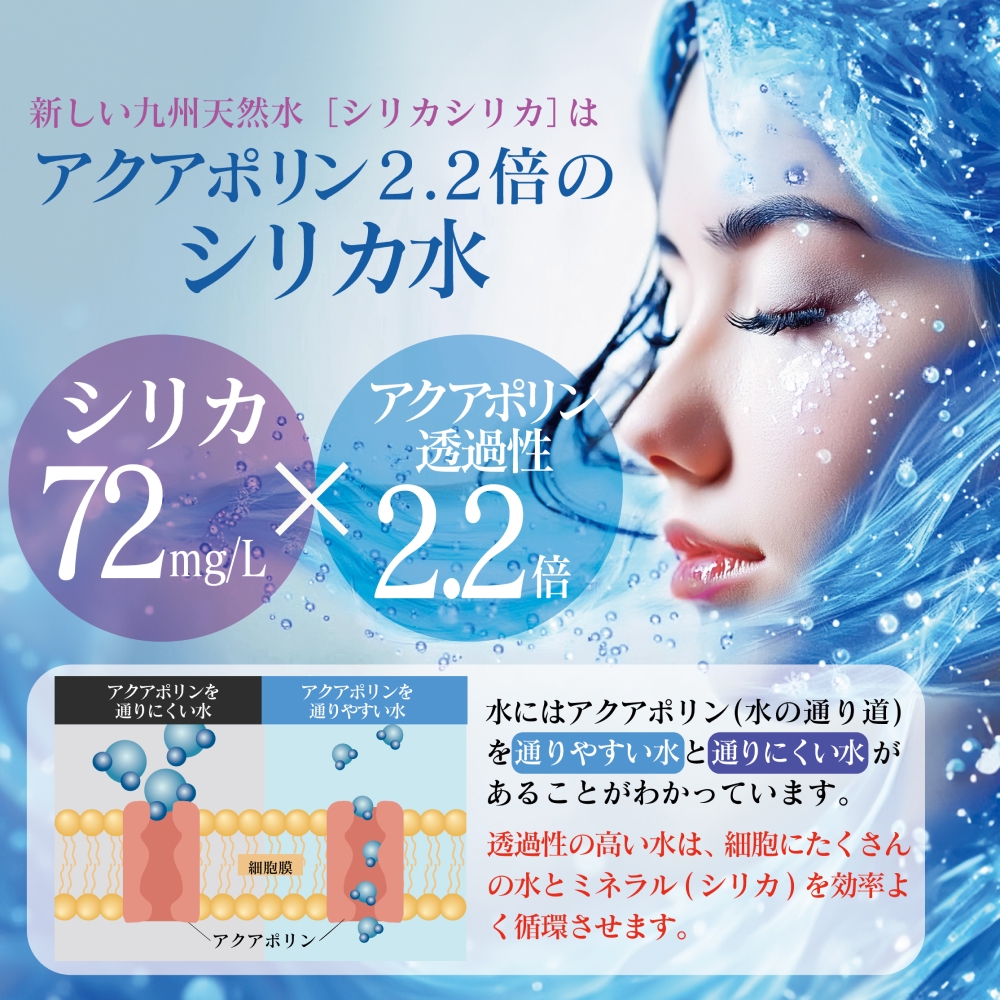 九州天然水 シリカシリカ 500ml×24本 九州 天然水 シリカ シ