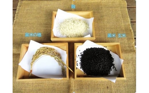 紅白甘酒セット＆黒米（ ノンアルコール ） 玖珠町産 黒米 