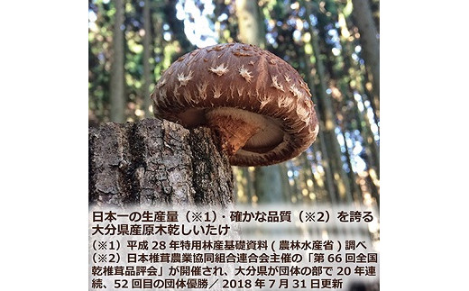 大分産椎茸どんこ 70g 大分県 どんこ 乾燥 椎茸 しいたけ 干