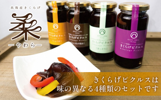 きくらげピクルス（4種）と乾燥きくらげのセット きくらげ