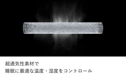 ブレインスリープ ピロー 【旧モデル】  STANDARD ＋ カバー ( 