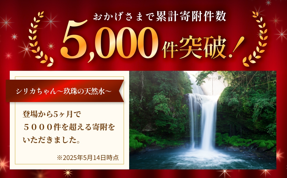 【6ヶ月定期便】天然水 シリカ 525ml × 40本 ＜シリカちゃん
