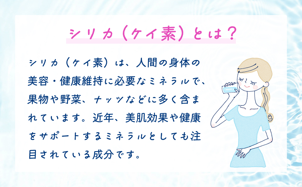 【数量限定】【12ヶ月定期便】天然水 シリカ 525ml × 40本 ＜