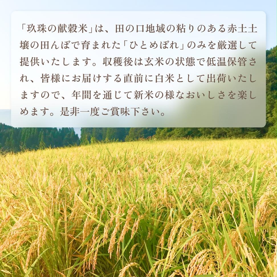 令和7年 玖珠の献穀米 3kg × 3回 定期便 米 ひとめぼれ 大分