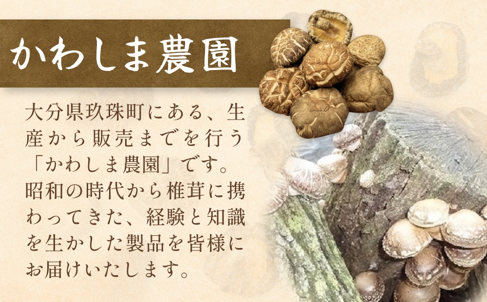 原木乾しいたけの詰め合わせ（かわしま農園）240g  大分県 