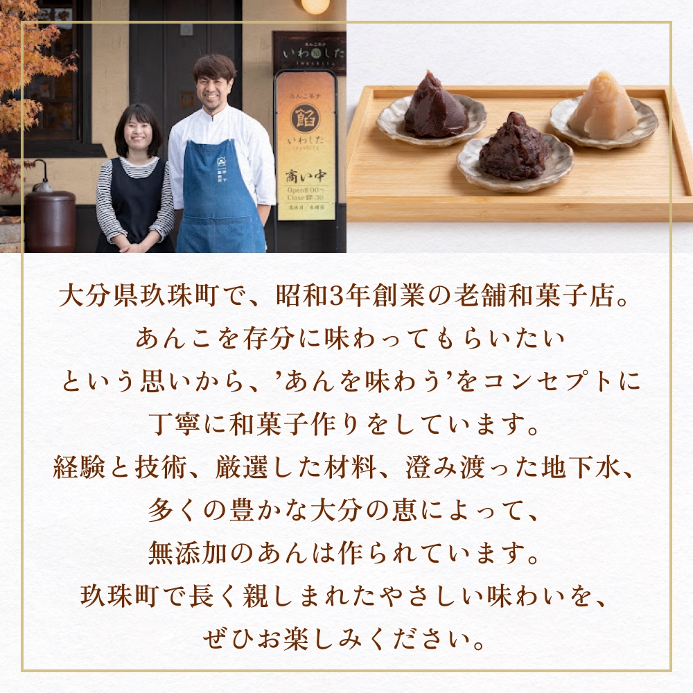 あんこ菓子いわした あんこペースト 1kg 2袋（計2kg） つぶ  