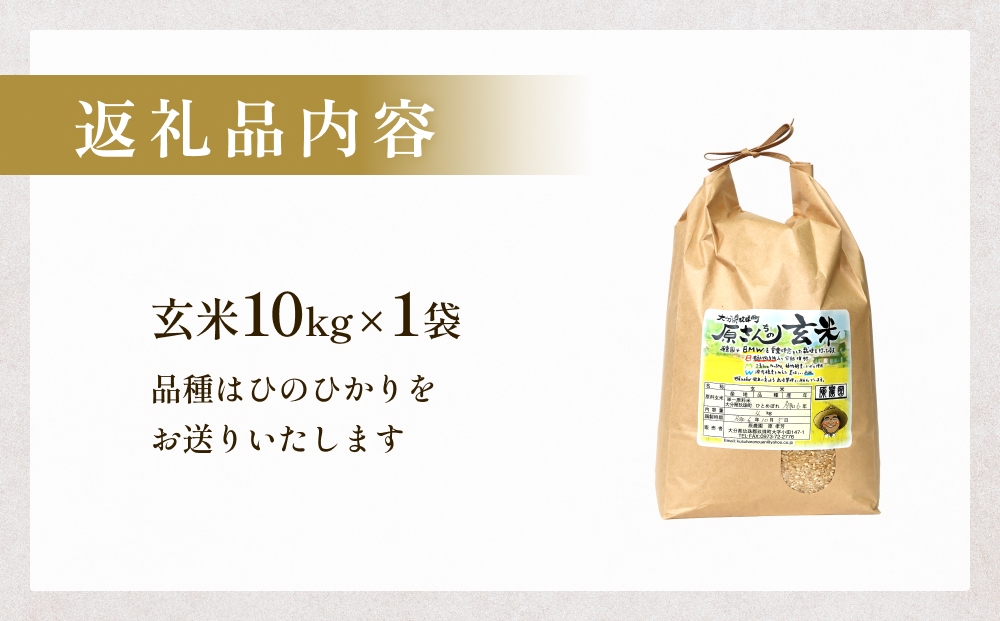 【令和8年産米先行受付】原さんちのお米 玄米 10kg ひのひか
