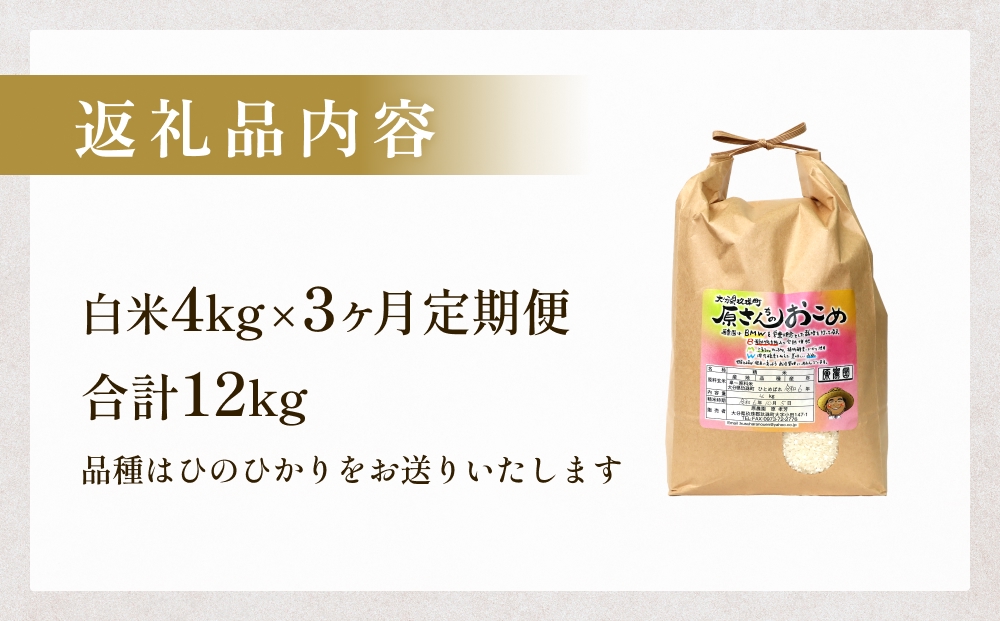 【令和8年産米先行受付】原さんちのお米 白米 ４kg ヒノヒ