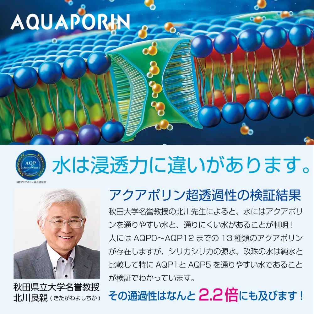 九州天然水 シリカシリカ 500ml×24本 九州 天然水 シリカ シ