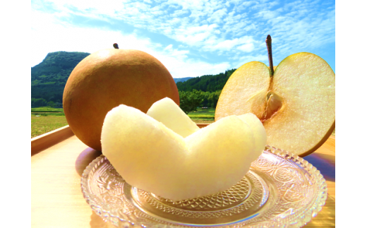 【先行受付】令和8年産 【新高】なかしま農園の 梨 5kg にい