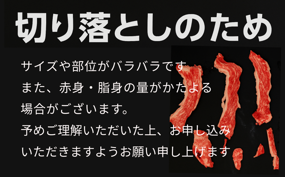 全農おおいた 豊後牛 小間切れ 400g 豊後牛 大分 牛肉 小間切
