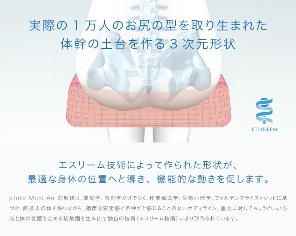 p!nto Mold Air black 車いす用 クッション 車椅子用 折りたたみ 