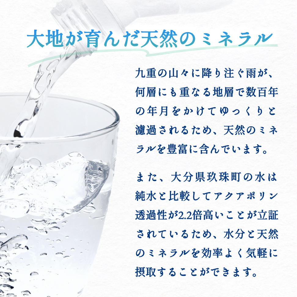 【数量限定】【12ヶ月定期便】天然水 シリカ 525ml × 40本 ＜