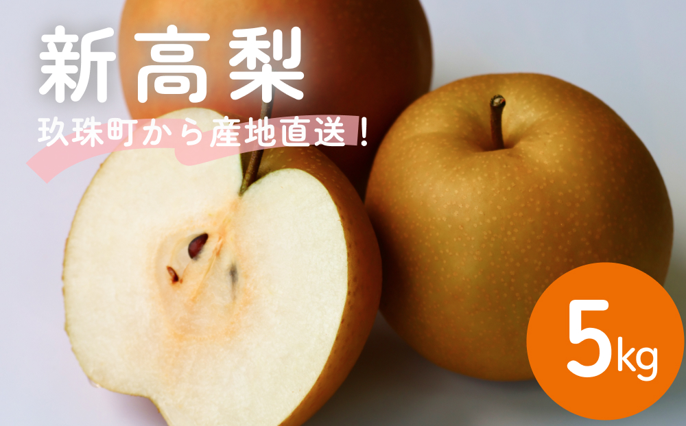 【先行受付】令和8年産 【新高】なかしま農園の 梨 5kg にい