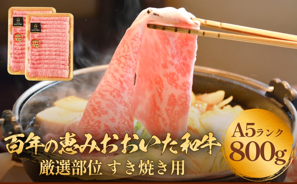 「百年の恵み おおいた和牛」A5すき焼き 800g 大分 九州 和牛