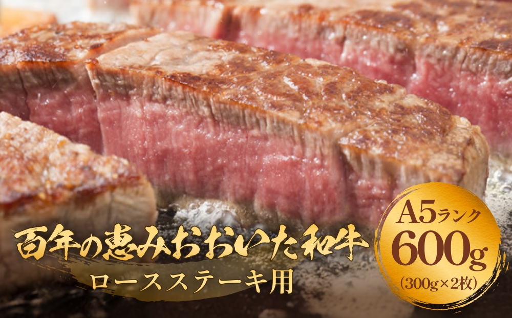 「百年の恵み おおいた和牛 」A5 ロースステーキ用 300g×２