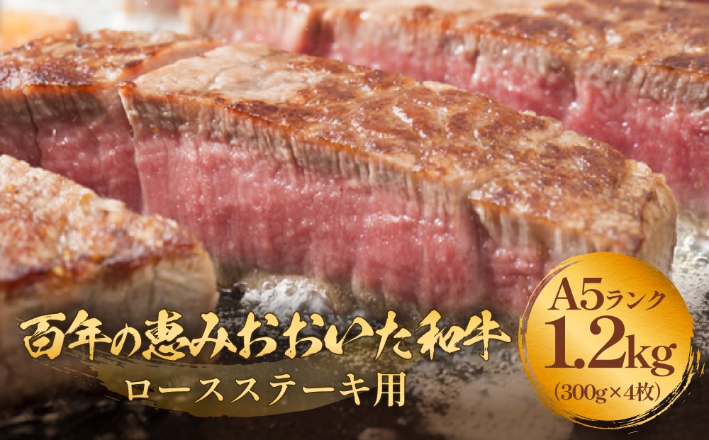 「百年の恵み おおいた和牛 」A5 ロースステーキ用 300g×４