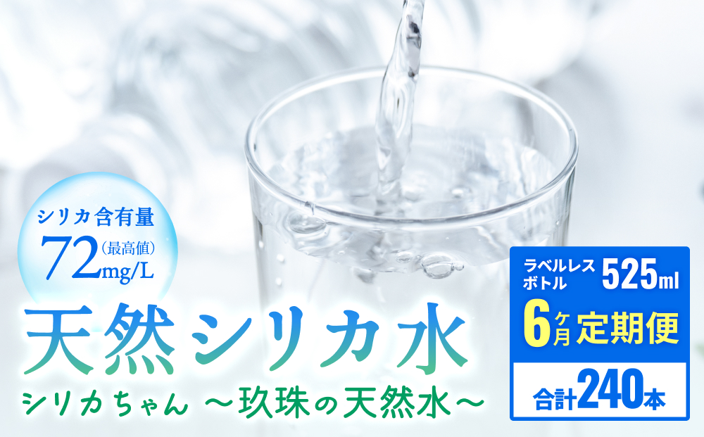 【6ヶ月定期便】天然水 シリカ 525ml × 40本 ＜シリカちゃん